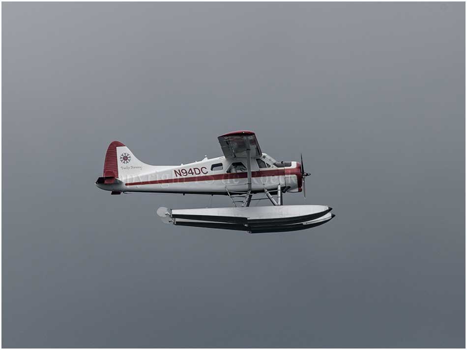 Beaver aircraft